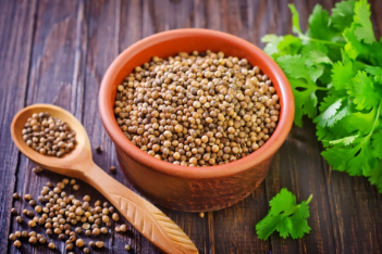 Coriander